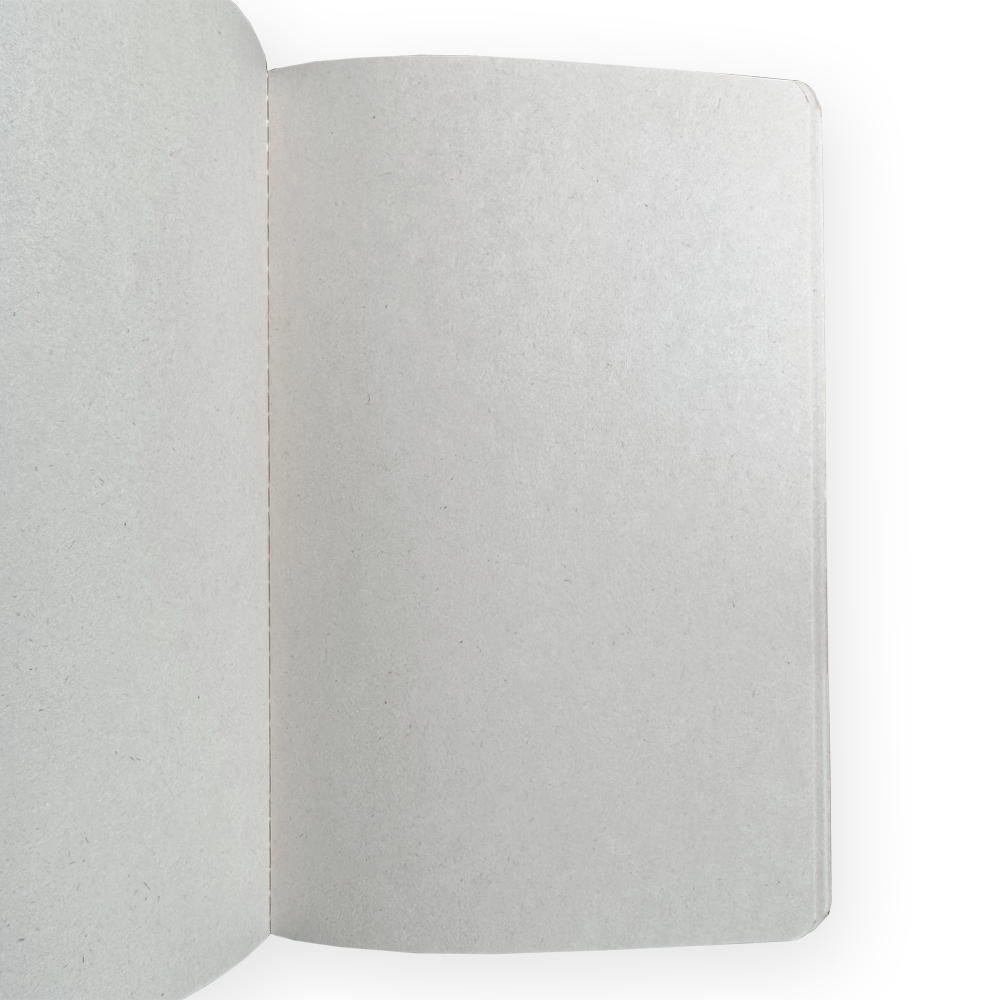 Set of 3 Stitched Bio Notebooks by Emilio Braga
