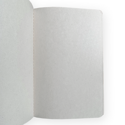Set of 3 Stitched Bio Notebooks by Emilio Braga
