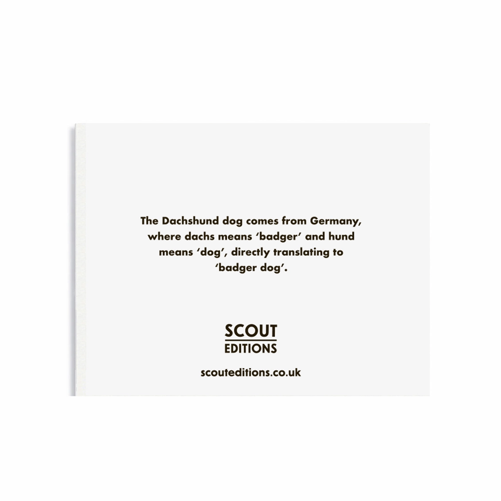 Dachshund Mini Card by Scout Editions
