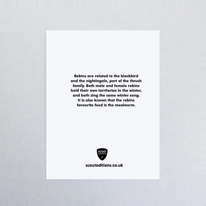 Robin Mini Card by Scout Editions