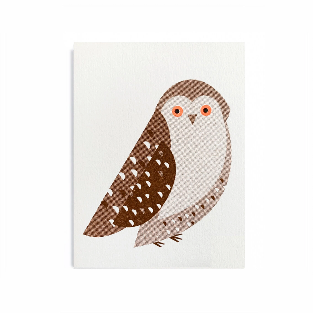 simple own image made of brown tones with white and brown half-circles on the feathers and a brown triangle beak and orange and black eyes